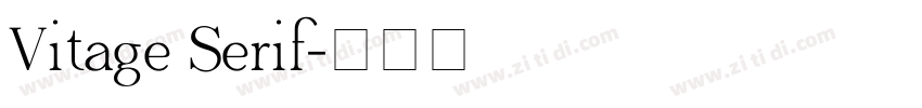 Vitage Serif字体转换